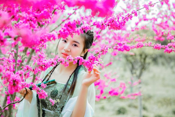 悠然武汉，茶香伴阳光，养生生活两不误